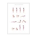 Poster&Frame Plakater plakat - Sun salutation a woman i Pink, B29,7 x L42 cm, 1