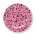 PIP Studio Frokosttallerkener Jolie Flowers Tallerken i 17 cm, 1