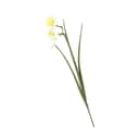 CASA Living Kunstige blomster Kunstig Blomst - Pinselilje i Lysegul/grøn, 55 cm, 1