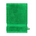 Bodum Vaskeklude Towel Vaskehandske i Grøn, 1