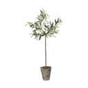 Lene Bjerre Kunstige blomster Flora Kunstig Oliventræ i 73 cm, 1
