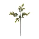 Bloomingville Kunstige blomster Kunstig blomst - Eucalyptus stilk i 91,5 cm, 1