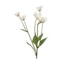 CASA Living Kunstige blomster Kunstig Blomst - Marguerit i Hvid 2, 1