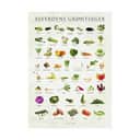 Poster&Frame Plakater plakat - Alverdens grøntsager i multifarvet, B30 x L40 cm, 1