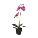 CASA Living Kunstige blomster Kunstig Blomst - Orkide i Pink, 1
