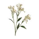 CASA Living Kunstige blomster Kunstig Blomst - Jasmin i Lyserød, 1
