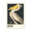 Poster&Frame Plakater Plakat - White pelican i Hvid/sort/gul, B50 x L70 cm, 1