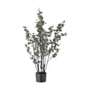 Bloomingville Øvrigt interiør Kunstig Plante - Eucalyptus i Grøn, 1
