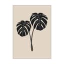 Poster&Frame Plakater Plakat - Monstera Deliciosa i B50 x L70 cm, 1