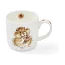 Royal Worcester Krus og kopper med hank Wrendale Krus - Diet starts tom. i Hamster, 1
