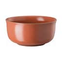 Rosenthal Skåle Thomas Nature Müsli Skål i Orange, 15 cm, 1