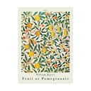 Poster&Frame Plakater Plakat - Pomegranate i Multifarvet, 1