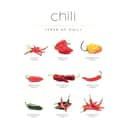 Poster&Frame Plakater Plakat - Chili Guide i B30 x L40 cm, 1