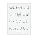 Poster&Frame Plakater plakat - Areolas i B29,7 x L42 cm, 1