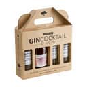 Knaplund Spiritus Ready To Mix Gincocktail Foxy Lady - 4 dele i Foxy Lady - 850 ml, 1