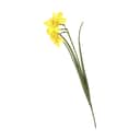 CASA Living Kunstige blomster Kunstig Blomst - Påskelilje i Gul/grøn, 55 cm, 1