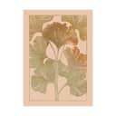 Poster&Frame Plakater Plakat - Golden ginkgo leaves i B30 x L40 cm, 1