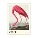 Poster&Frame Plakater Plakat - Pink Flamingo edt. 001 i B70 x L100 cm, 1