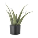 Bloomingville Øvrigt interiør Kunstig Plante - Aloe i Grøn, 1