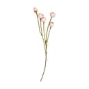 Speedtsberg Kunstige blomster Kunstig Blomst - Ranukel i rosa/grøn, 1