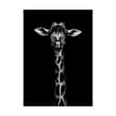 Poster&Frame Plakater Plakat - Giraffe Portrait i Sort, B30 x L40 cm, 1