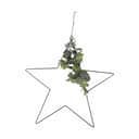 Casa Christmas Lysdekoration LED Stjerne i Sort/grøn, 60 cm, 1