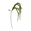 everbloom Kunstige blomster Artificial Stem Kunstig Blomst - Amarent i Grøn, 1