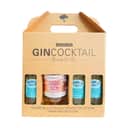 Knaplund Spiritus Ready To Mix Gincocktail Foxy Lady - 4 dele i Foxy Lady - 1,1 liter, 1