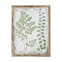Creative Collection Plakater Tipper Illustration med ramme i Natur, 1