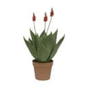CASA Living Kunstige blomster Kunstig Agave i Grøn, 1