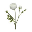 CASA Living Kunstige blomster Kunstig Blomst - Ranunkel i hvid, 1