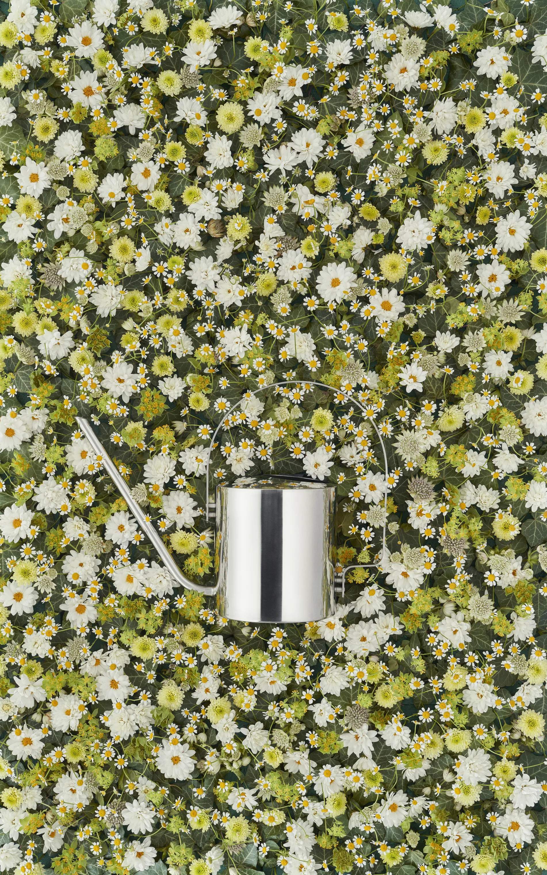 Stelton Vandkander Original Vandkande i Stål, 2