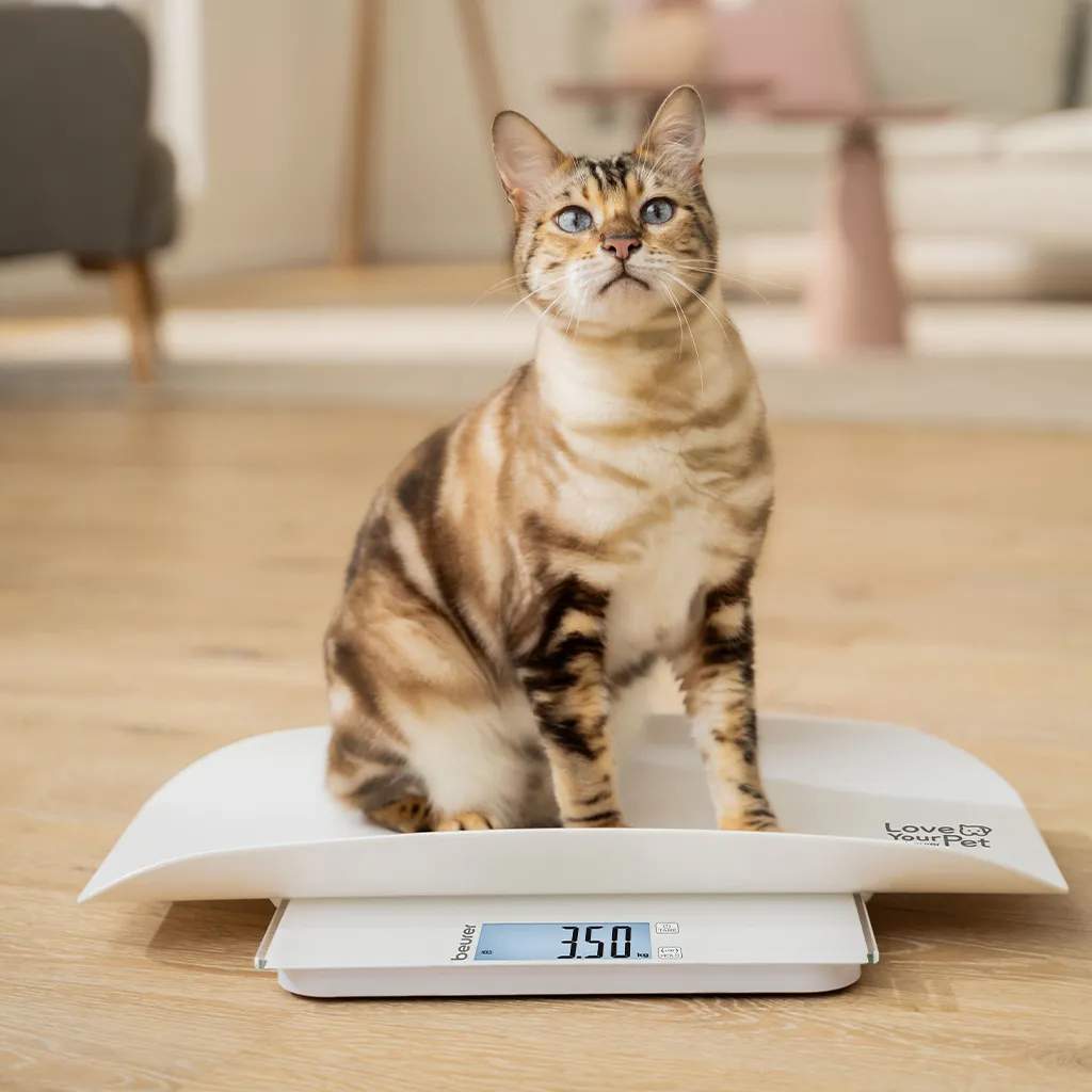 Beurer Bagevægte PetCare PP170 Polly Kæledyrsvægt i Hvid, 2
