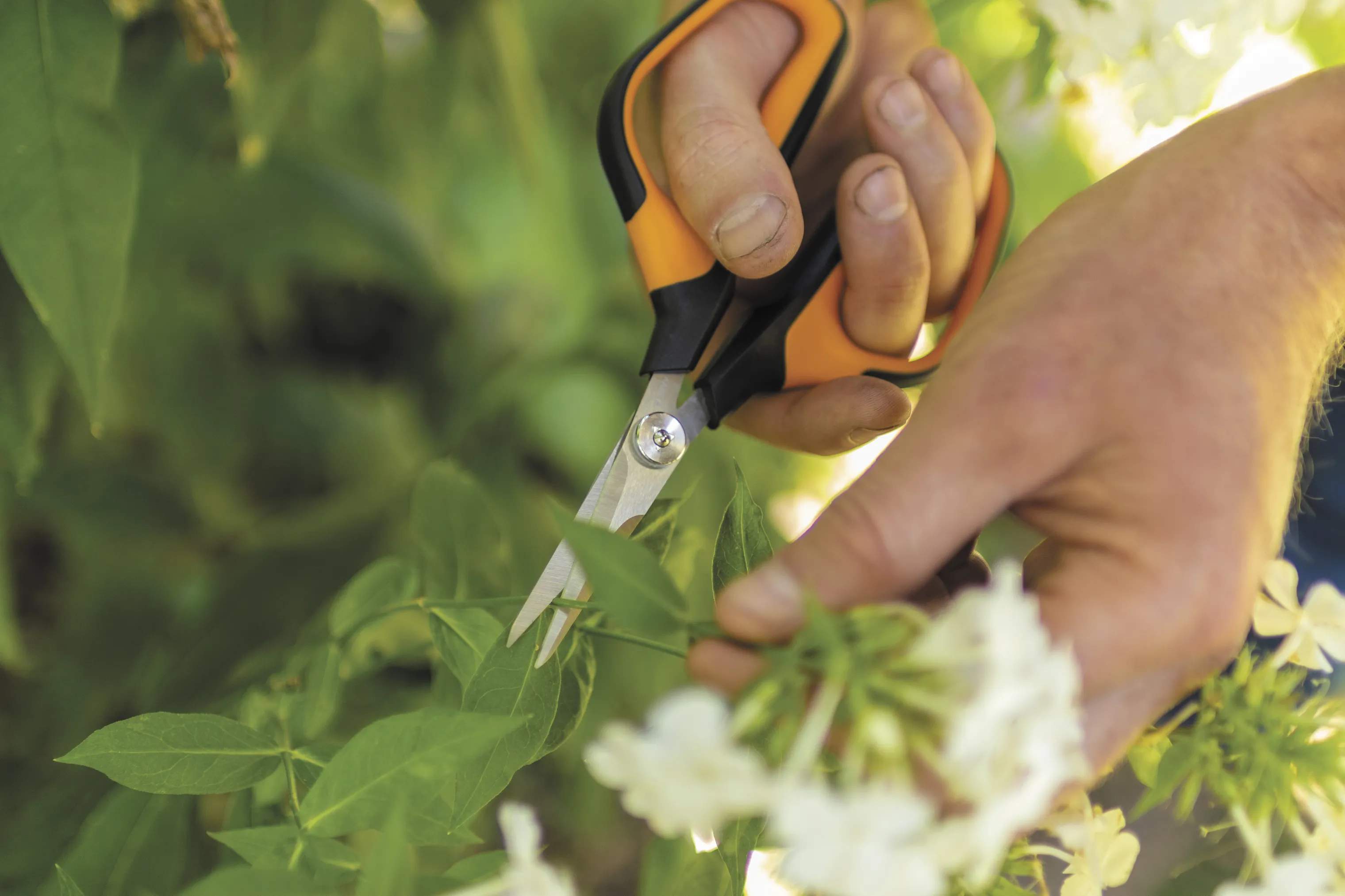 Fiskars Garden Haveredskaber Fiskars Solid™ Solid Beskæresaks i Sort/orange, 2