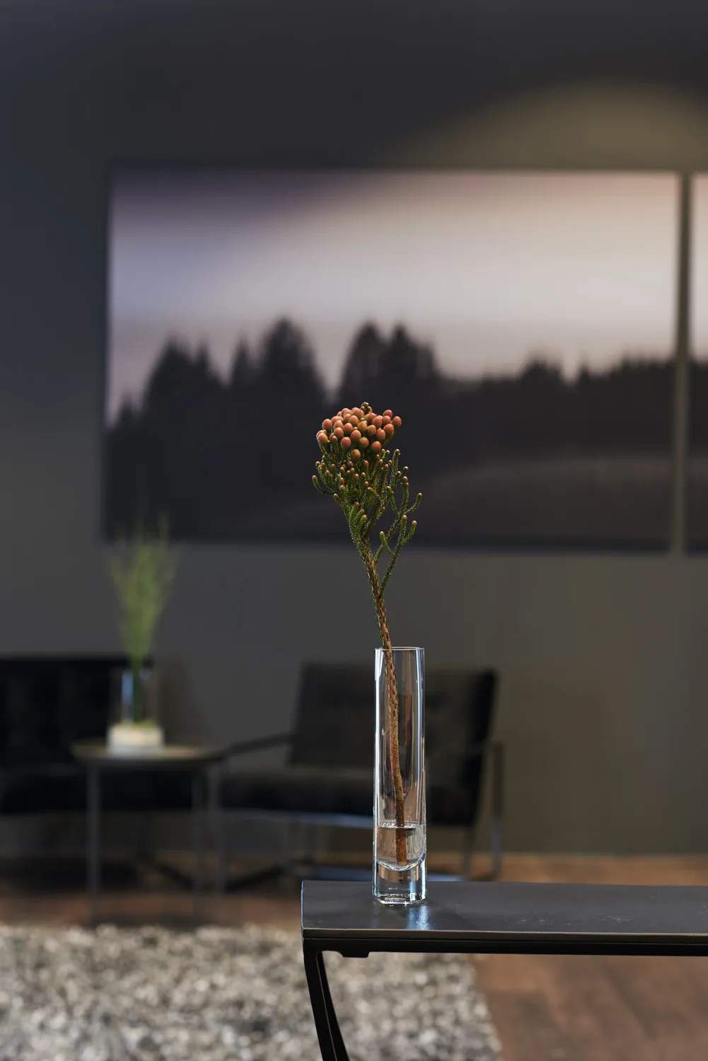 Leonardo Vaser Novara Solifleur Vase i Klar, 24 cm, 2
