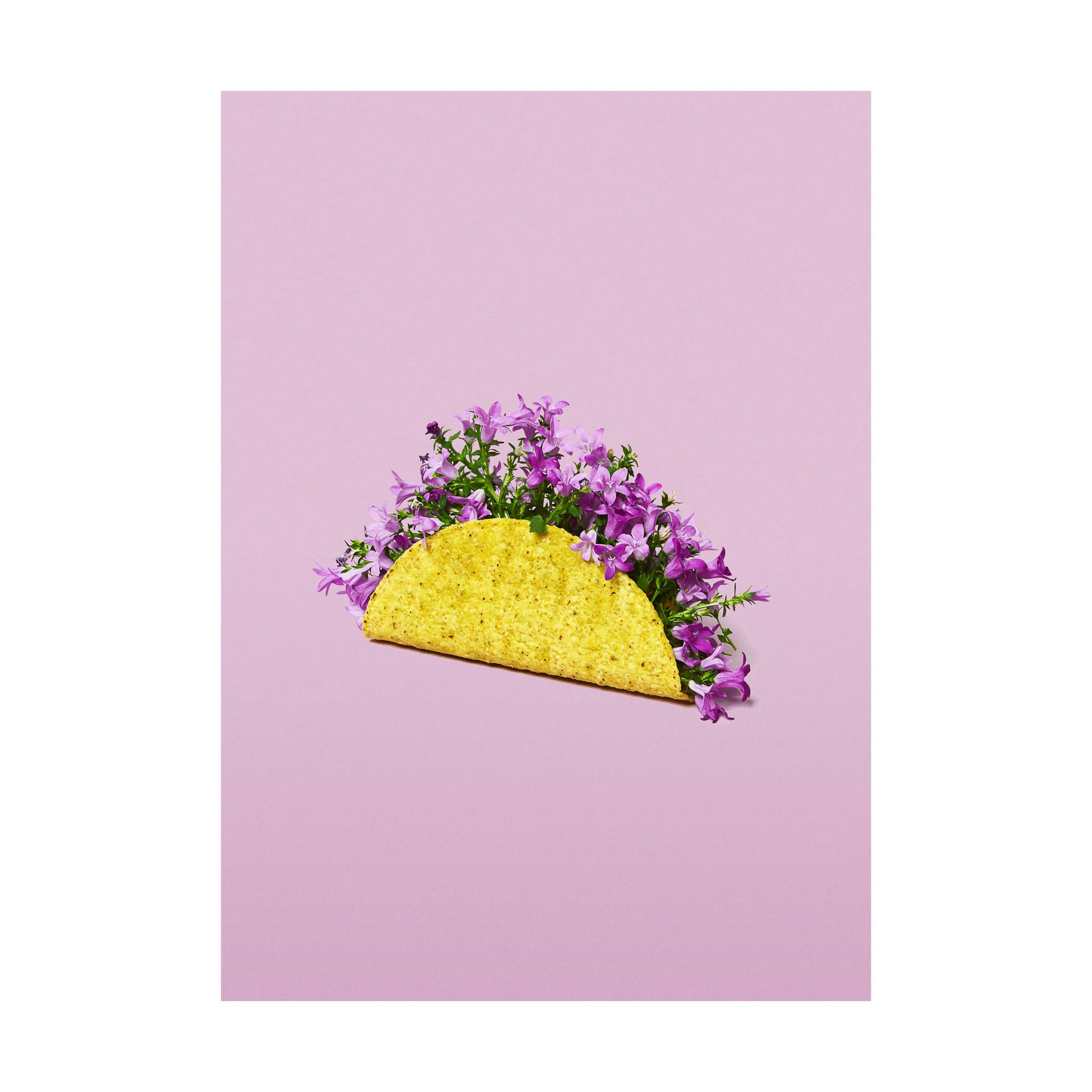 plakat - Flower taco, lilla;gul, large