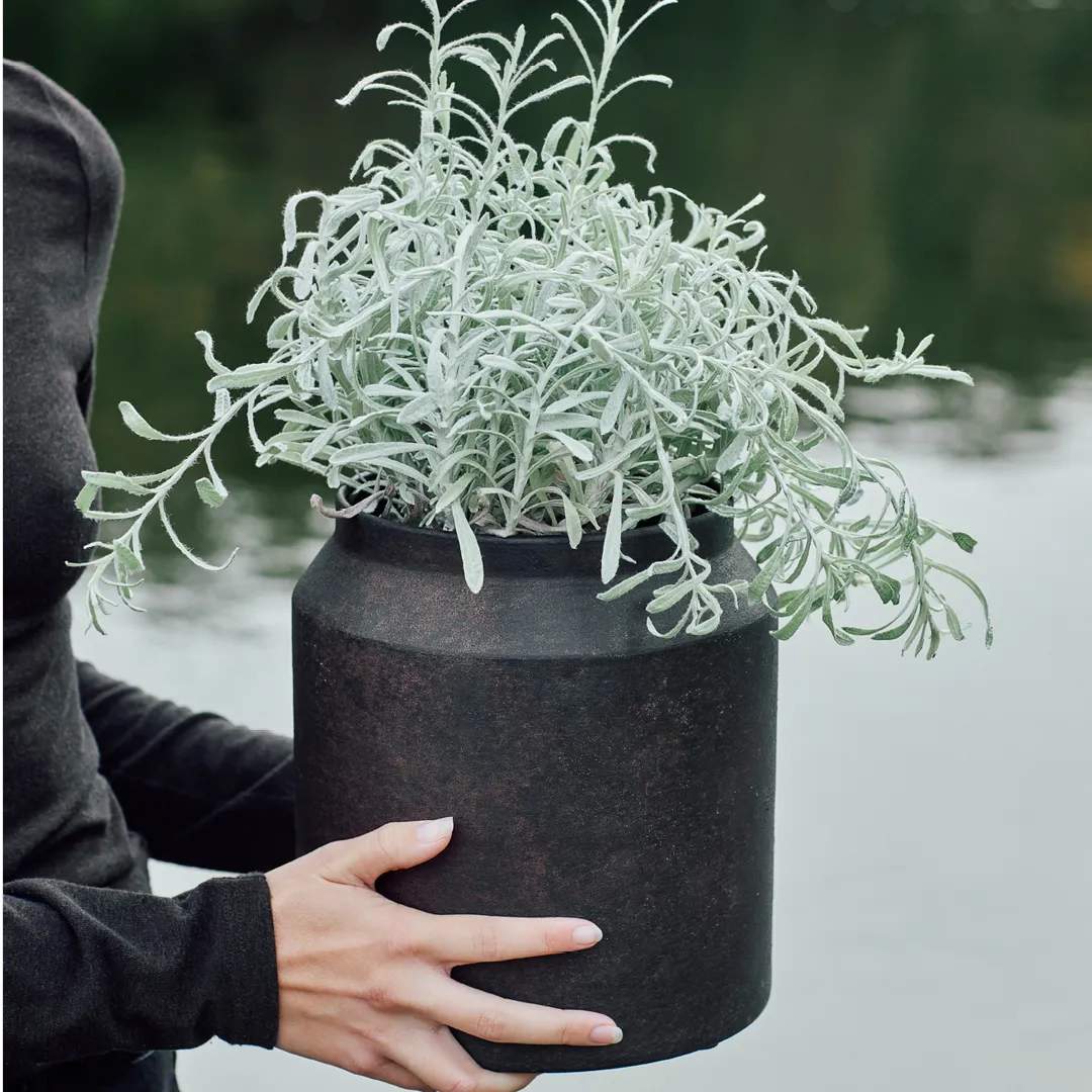 Muubs Plantekrukker Sai Krukke i H23 x Ø21 cm, 5
