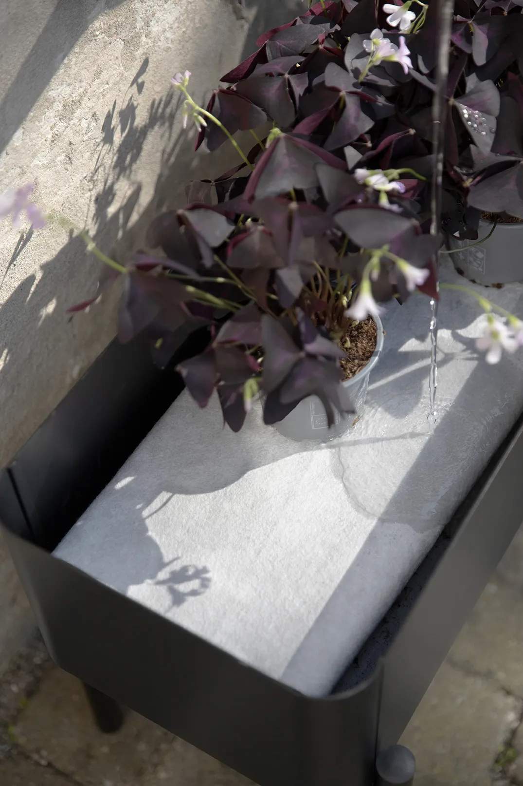 Eva Solo Altankasser Simply Grow Plantekasse i Sort, 8