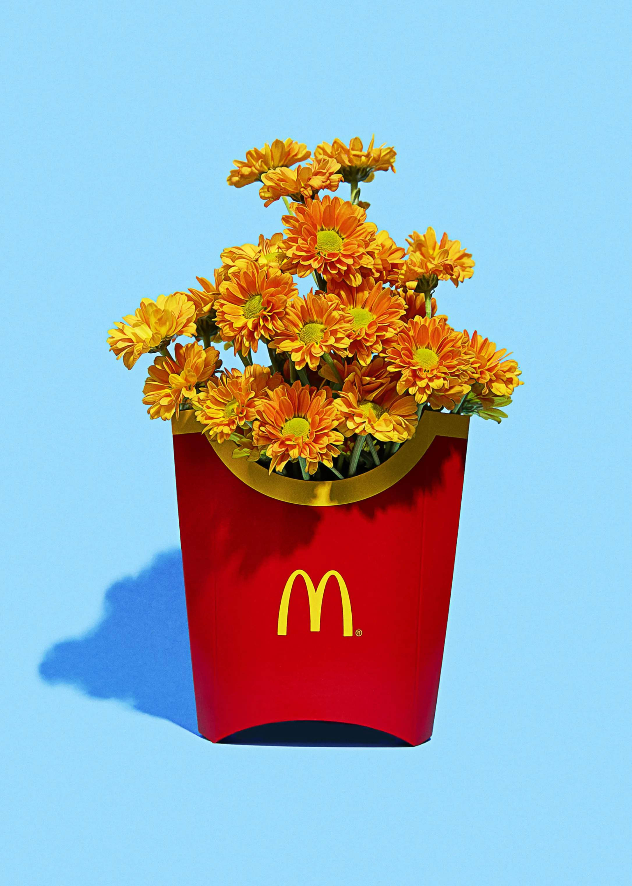 Supermercat plakater plakat - Flower fries
