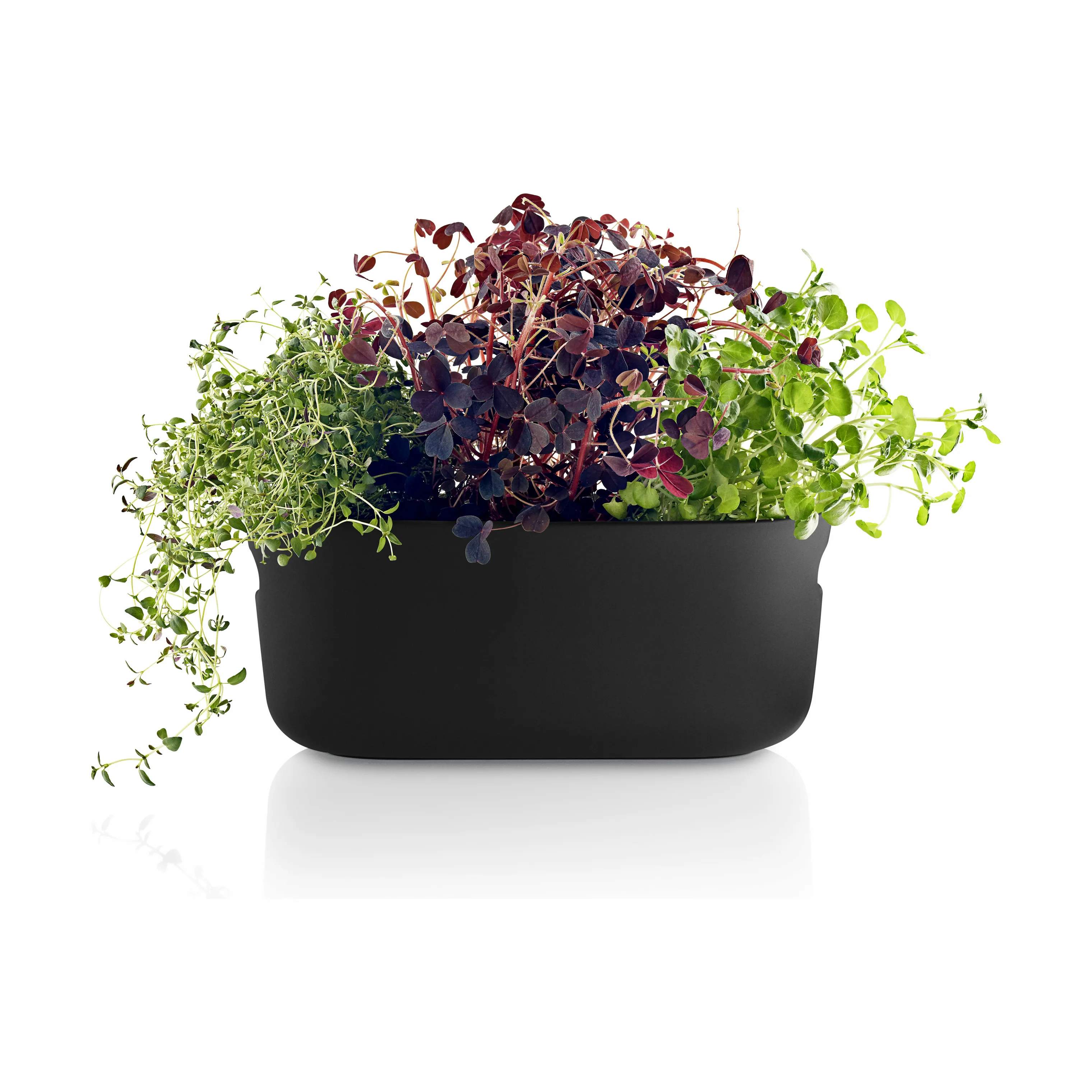 Eva Solo Plantekrukker Selvvandende Herb Organiser i Black, B13 x L31 cm, 4