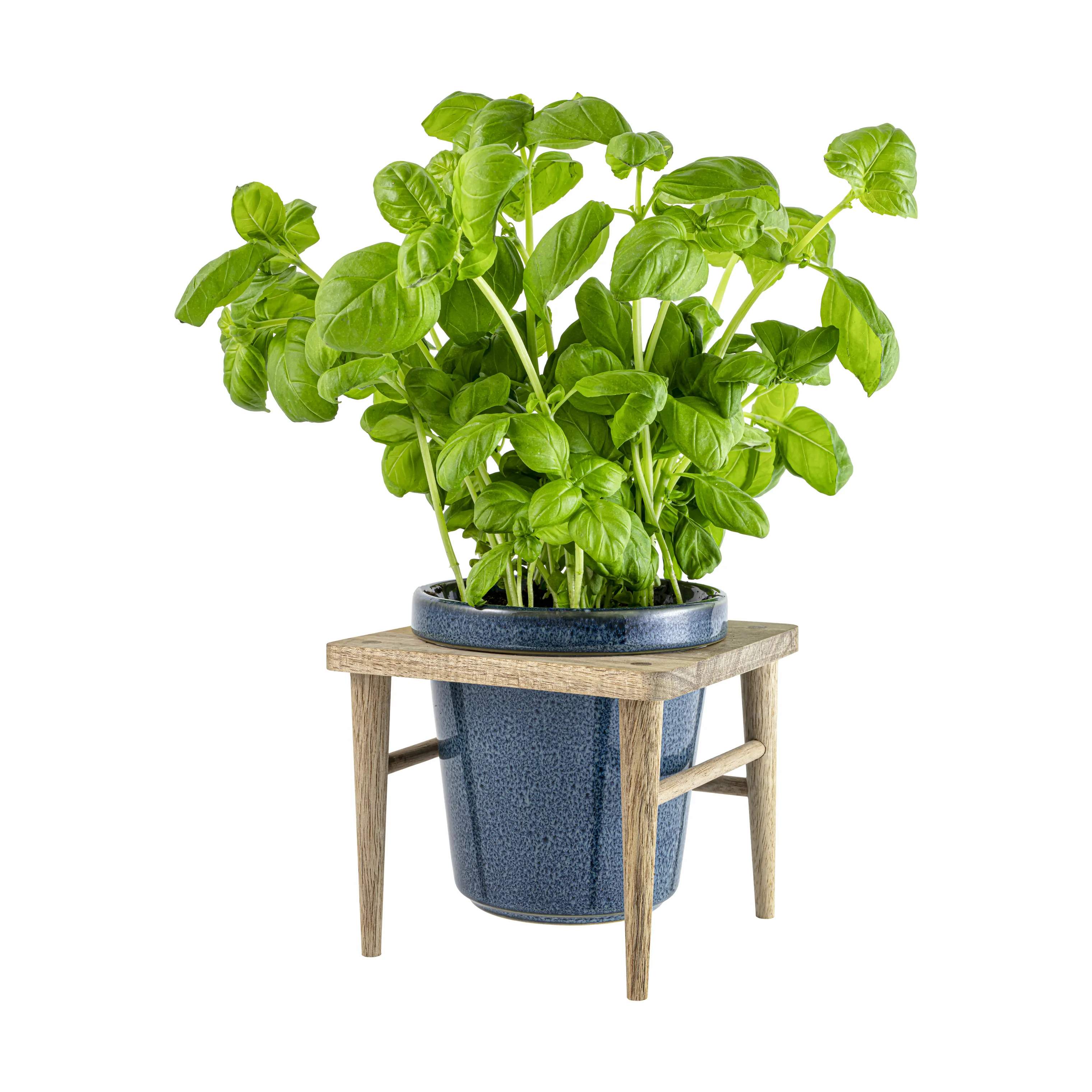 CASA Living Urtepotteskjulere Sofia Urtepotte i Blå, 11 cm, 3