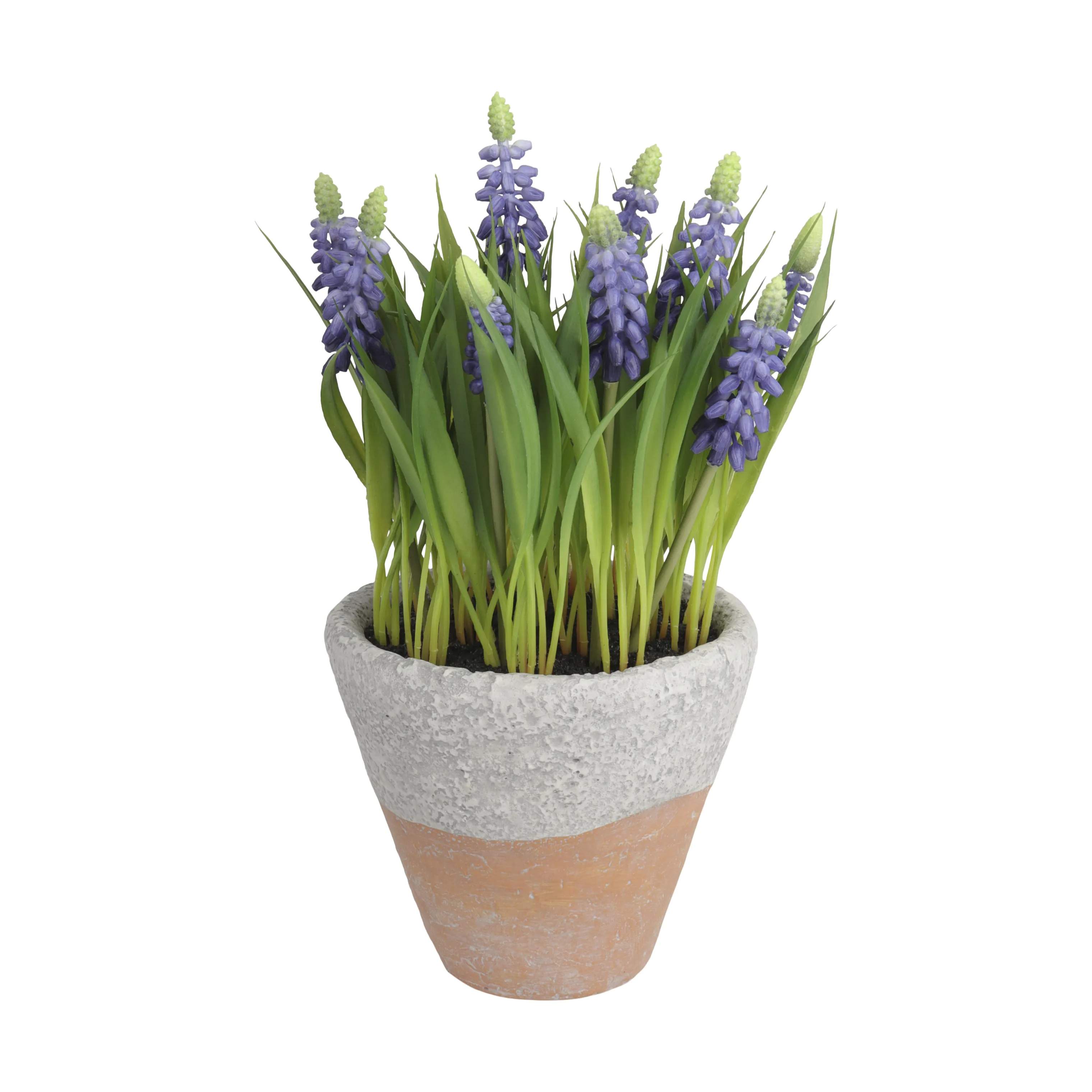 CASA Living Kunstige planter Kunstig Perlehyacint i Blå, 1