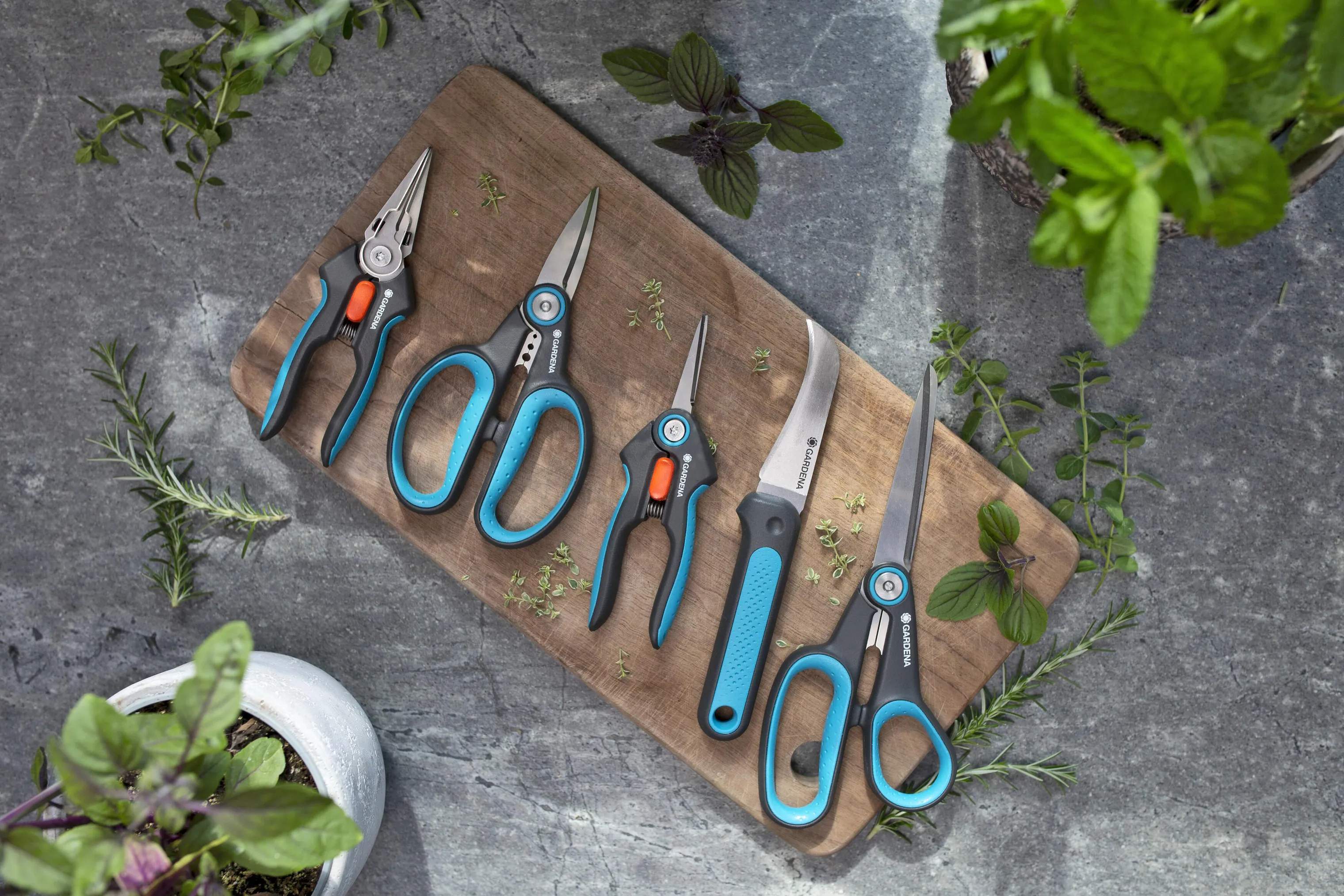 Gardena Urteknive VeggieCut Kniv i sort/turkis, 3