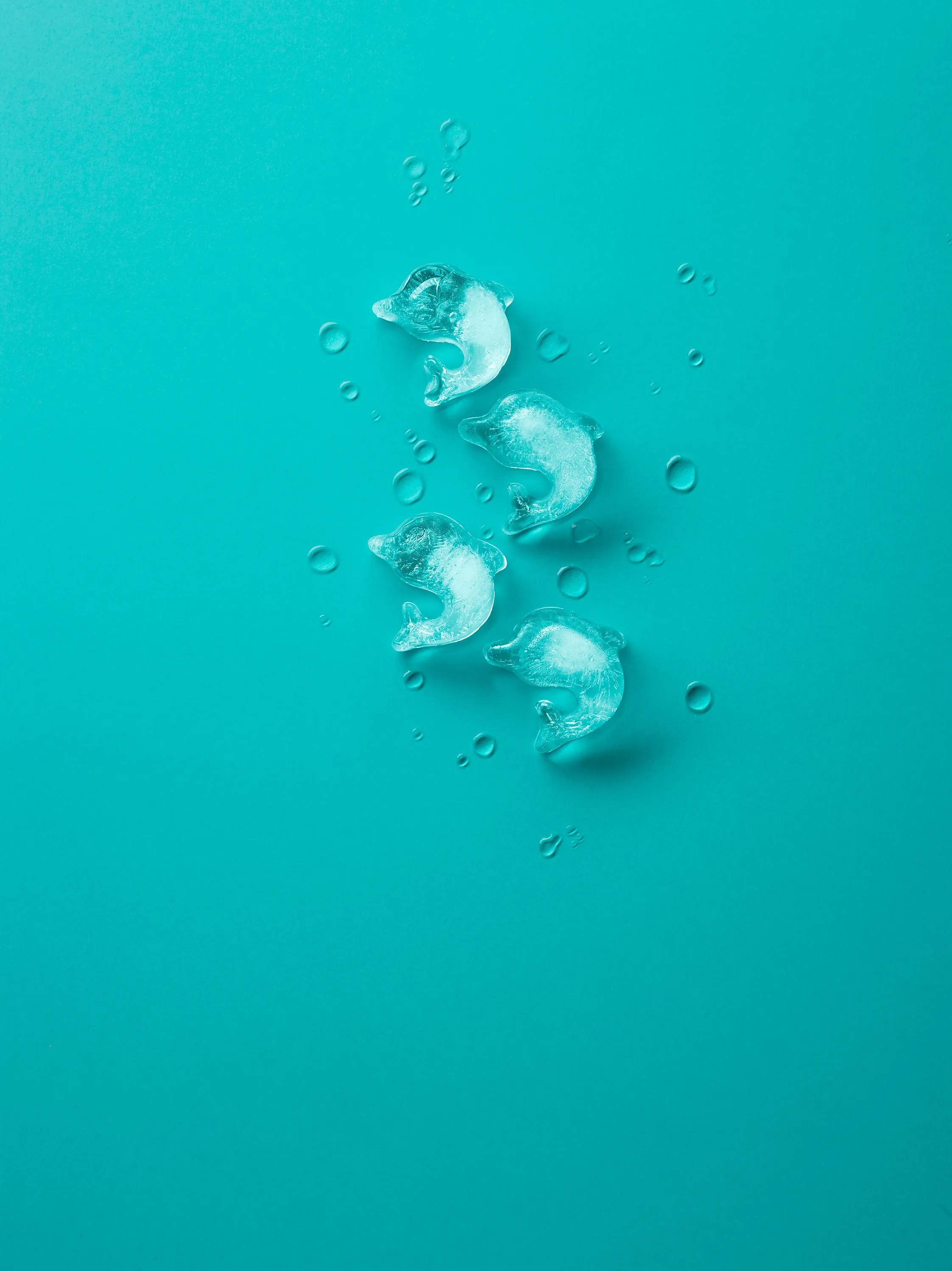 Lékué Isterningebakker Lekue is Isterningeform Delfin i Turkis, 2