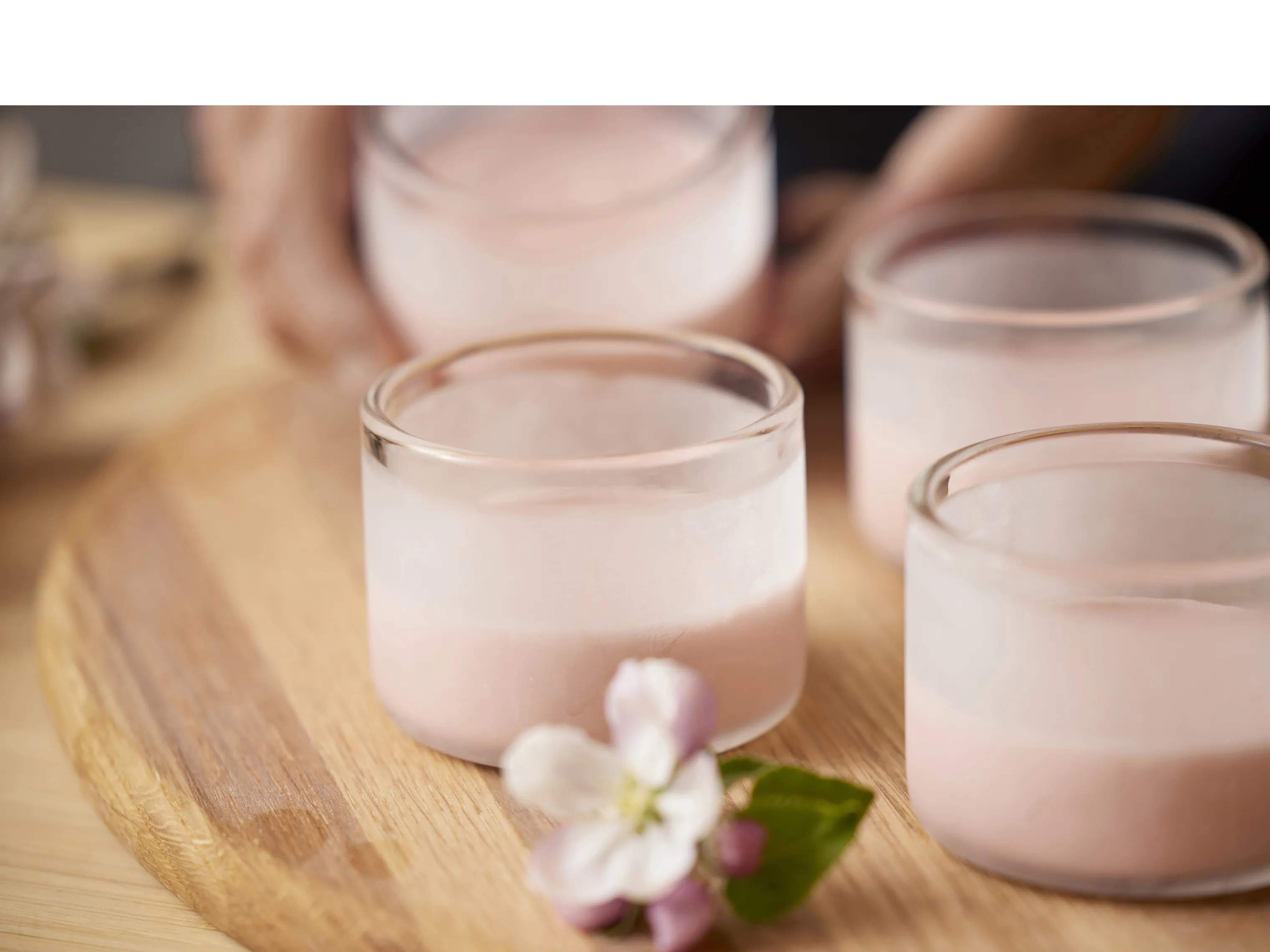 Blomsterbergs Skåle Dessertglas i Transparent, 3