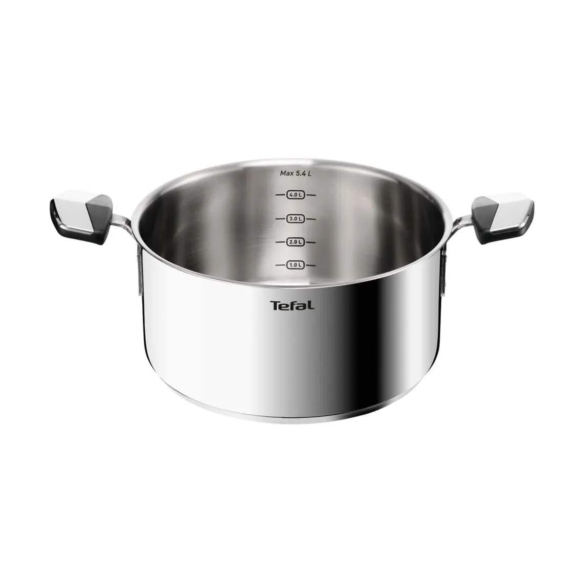 Tefal Gryder Emotion Plus SS Uncoated Gryde i 4.5 L, 5