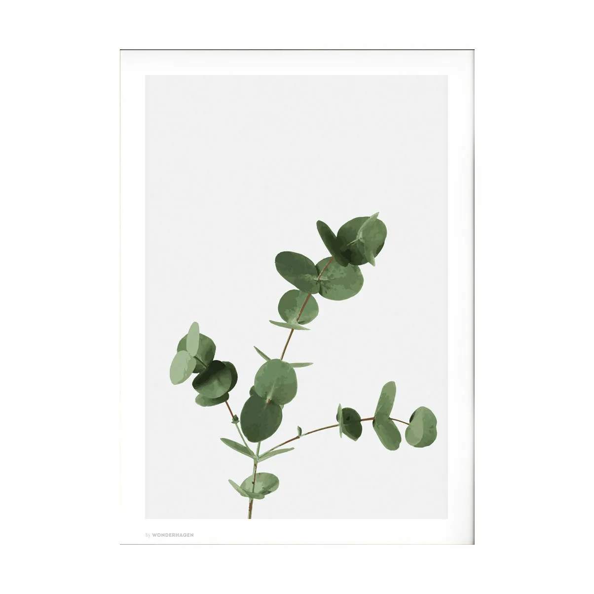 Wonderhagen plakater Plakat Eucalyptus