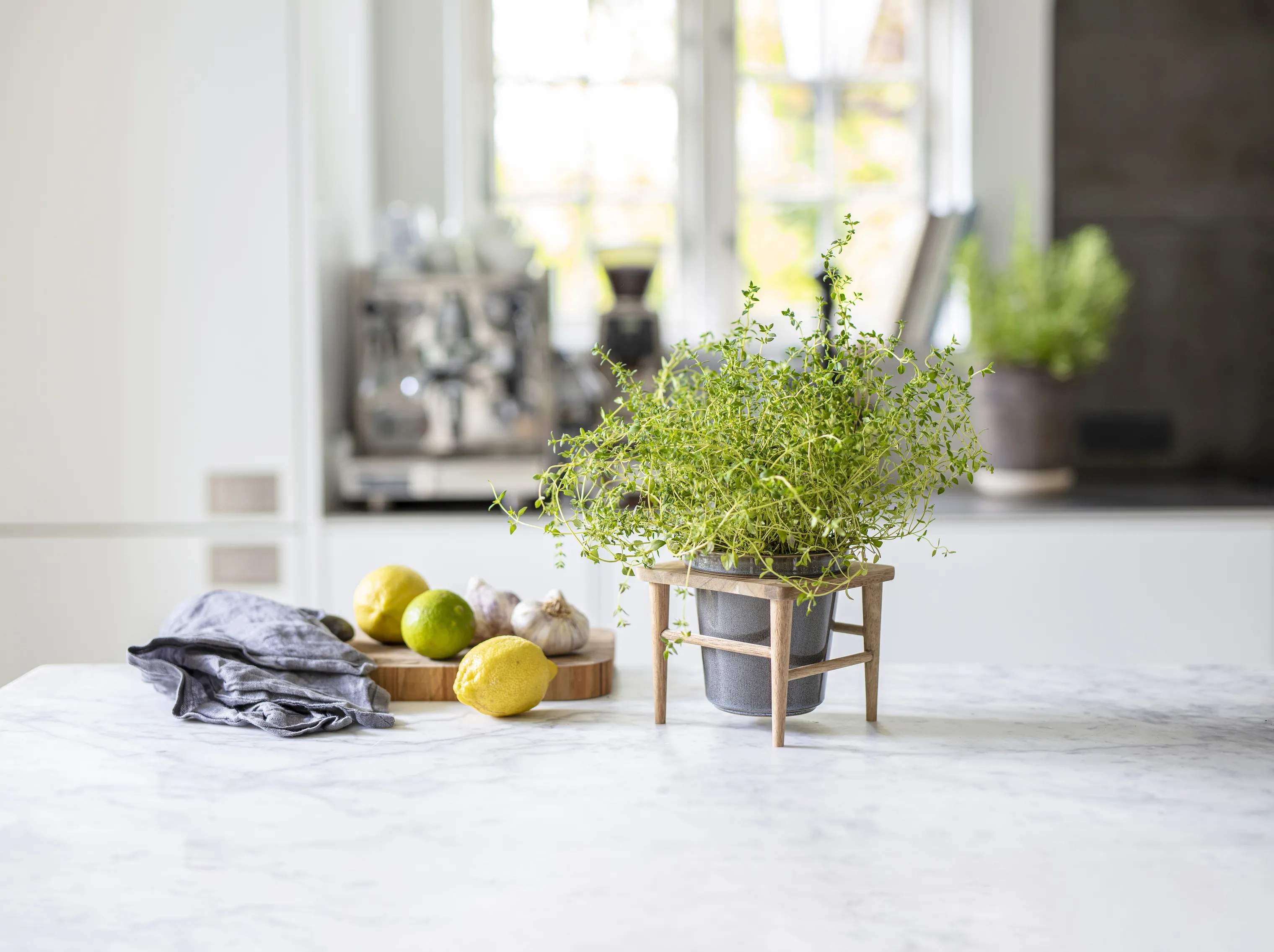 CASA Living Urtepotteskjulere Sofia Urtepotte i grå, 11 cm, 2