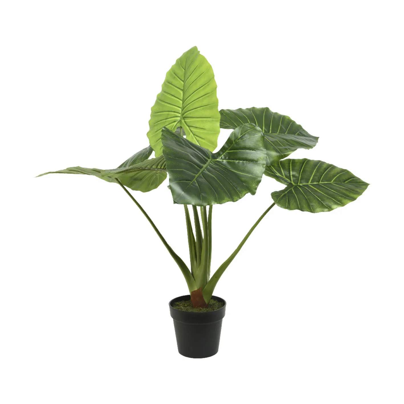 CASA Living kunstige planter Kunstig Plante - Elefantøre