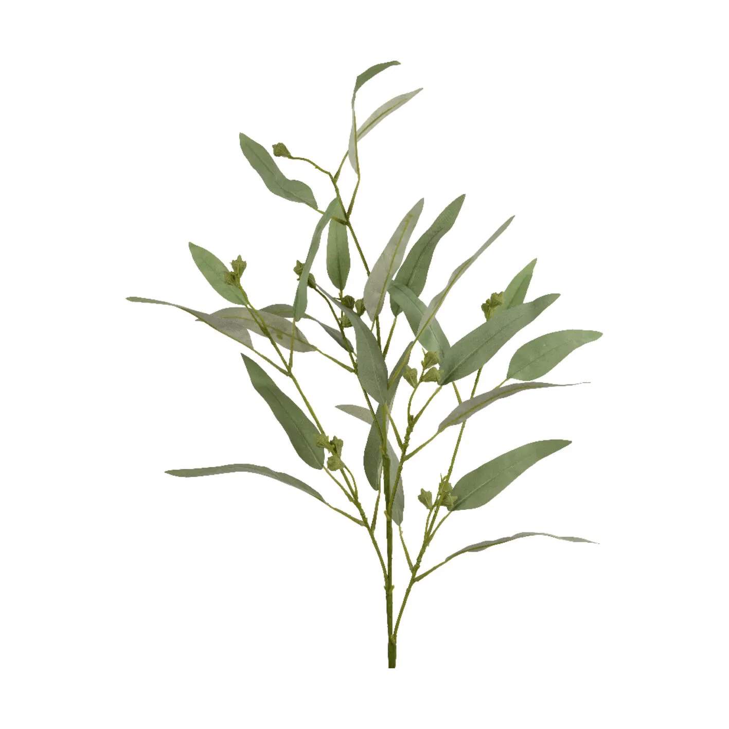 CASA Living Kunstige blomster Kunstig blomst - Eukalyptusgren i 90 cm, 1